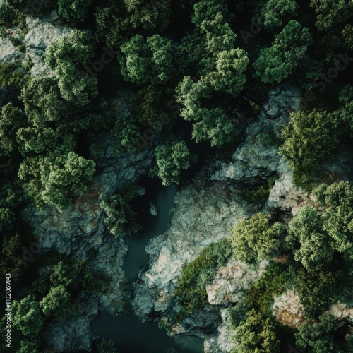 Aerial view of lush green trees surrounding rocky terrain and a small waterway, showcasing the beauty of nature.