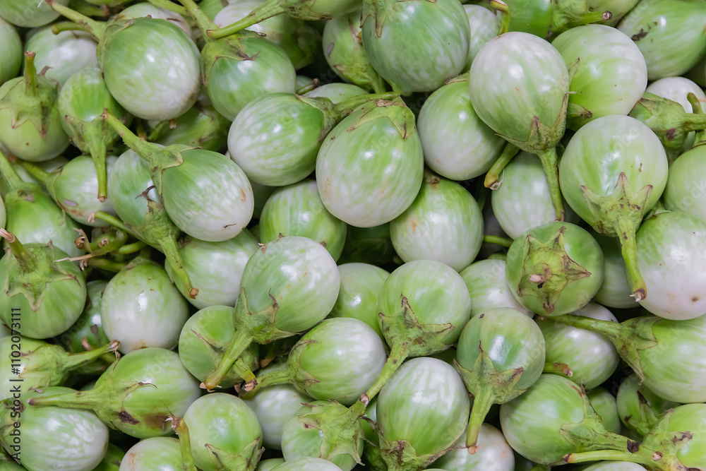 Fresh pile Thai eggplants or green brinjals in local market at Thailand. Fresh pile Thai eggplants or green brinjals in local market at Thailand.