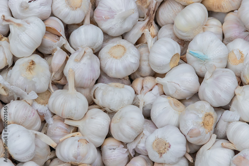Pile of garlic with abstract shapes. Garlic for cooking seasoning. Pile of garlic with abstract shapes. Garlic for cooking seasoning.