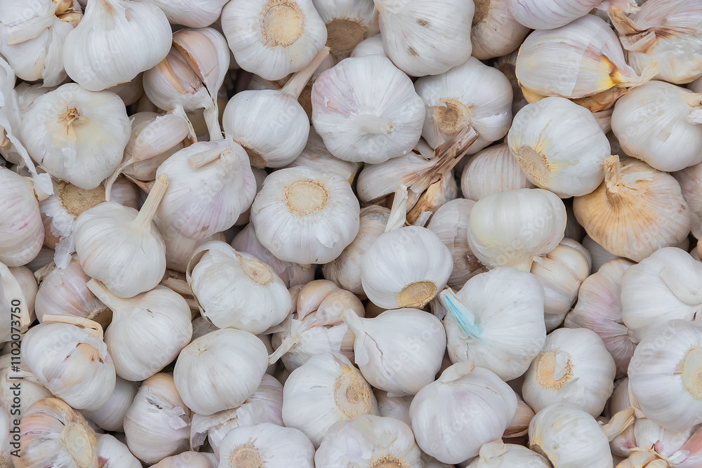 Pile a lot of garlic with abstract shapes. Garlic for cooking seasoning. Pile a lot of garlic with abstract shapes. Garlic for cooking seasoning.