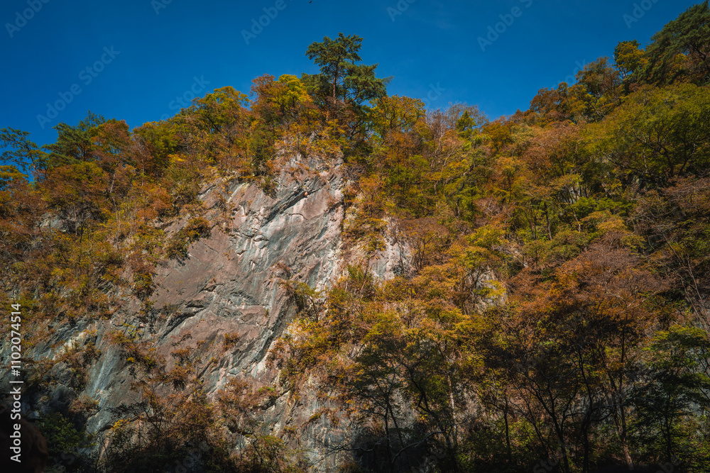 Geibikei gorge valley Japan, travel destinations in autumn or fall season, color of leaf in yellow, orange and green. Nature and mountain attraction view. floating activity. Japan sightseeing.