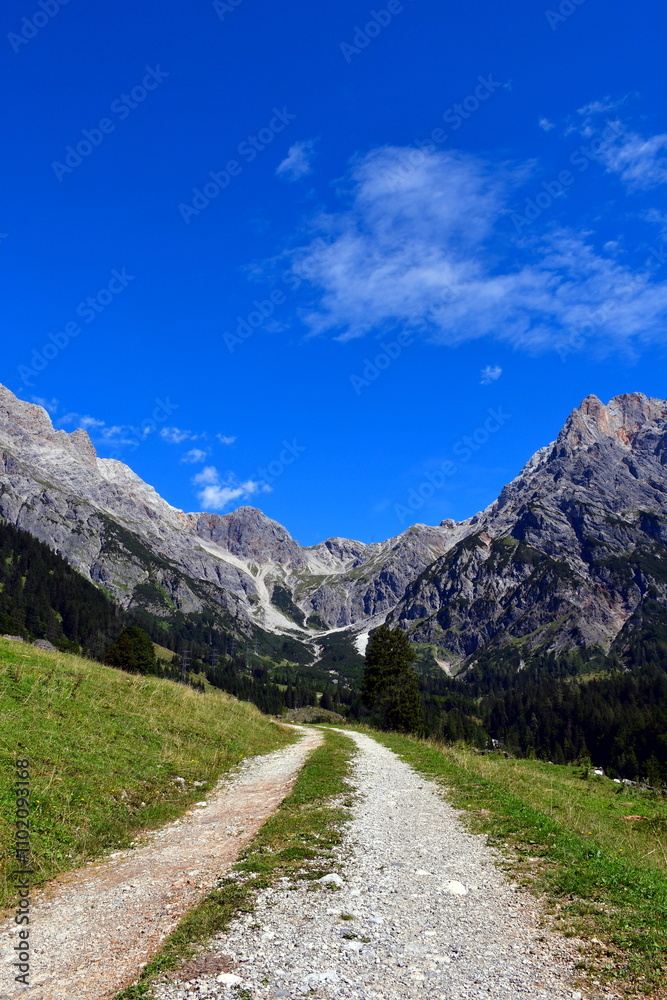 Naklejka premium Schotterweg verläuft ins Bild und verliert sich in der Ferne. Berge und blauer Himmel im Hintergrund