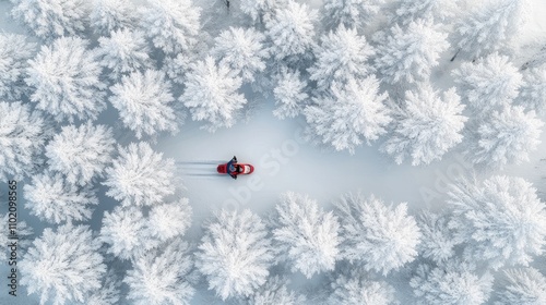 A snowmobiler speeds across a pristine, snowy landscape, weaving between tall, frosted pines in the mountains on a chilly winter day. The vastness of nature is evident photo