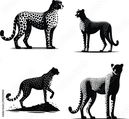 Beautiful cheetah Silhouette Vector Art and Graphic animal illustration on a white background photo