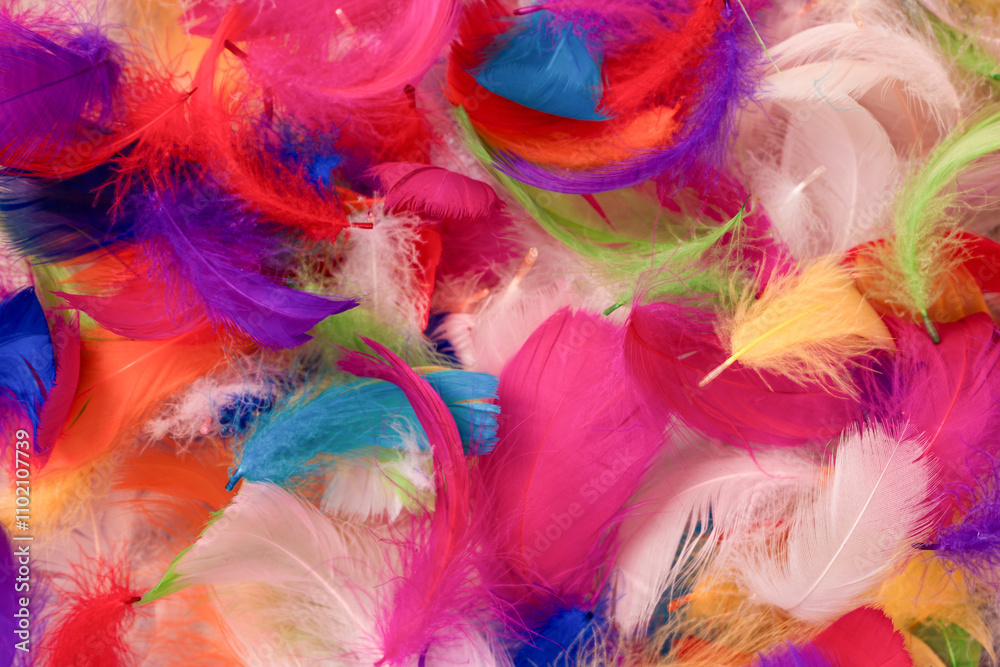 Colorful feather background, top view. Colorful feather background, top view.