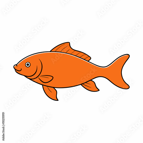 fish on a white background