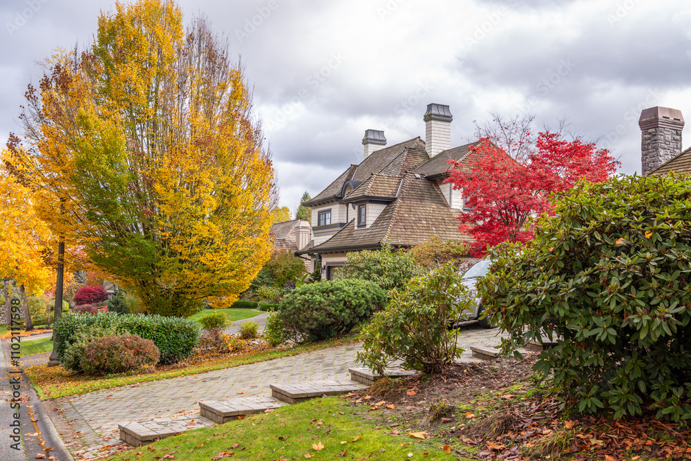 Obraz premium Two story stucco luxury house with garage door, big tree and nice Fall foliage landscape in Vancouver, Canada, North America. Day time on November 2024.