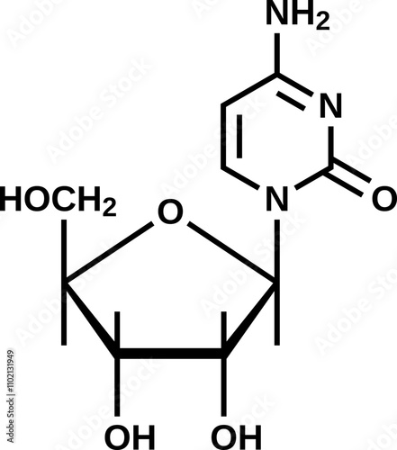 Nucleoside cytidine structural formula, RNA component vector illustration
