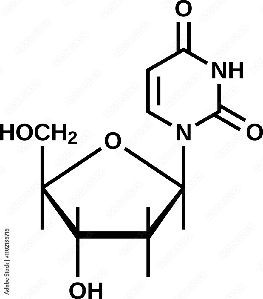 Nucleoside deoxyuridine structural formula, vector illustration
Nucleoside deoxyuridine structural formula, vector illustration