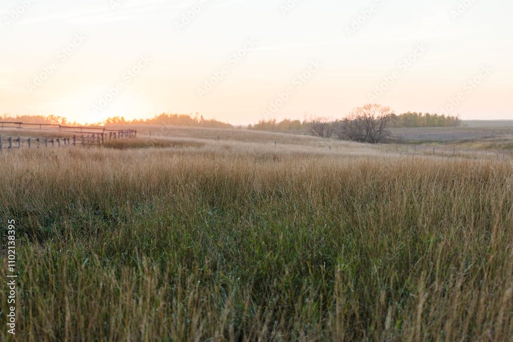 sunrise over the field sunrise over the field