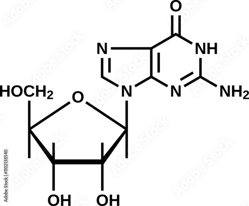 Nucleoside guanosine structural formula, RNA component vector illustration
