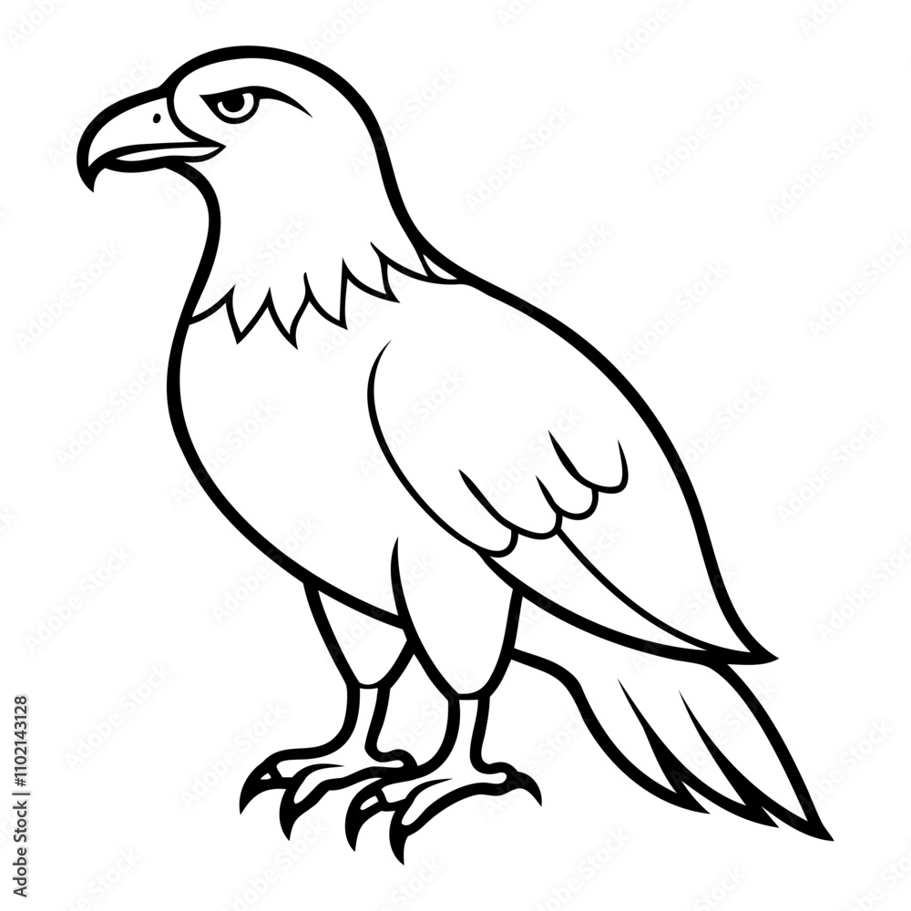 Eagle Bird Vector outline or Line art Black Silhouette isolated on transparent background Eagle Bird Vector outline or Line art Black Silhouette isolated on transparent background