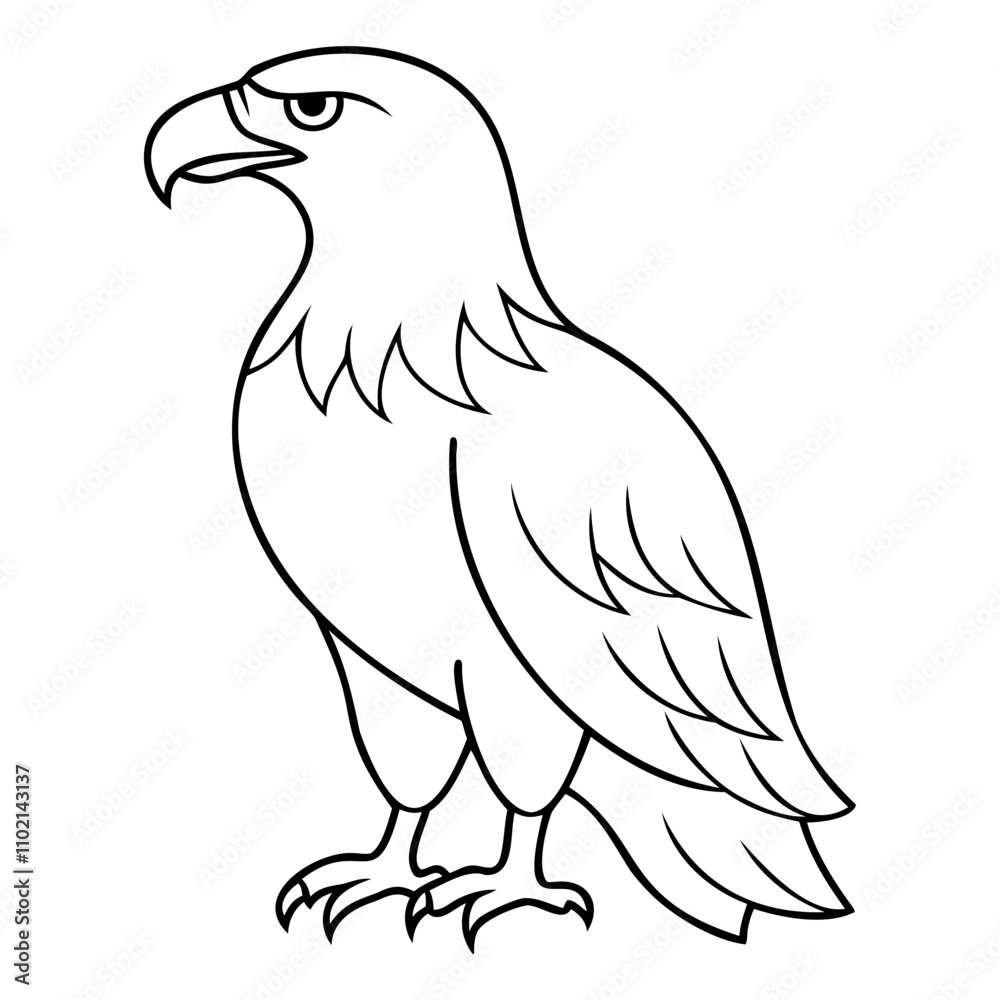 Fototapeta premium Eagle Bird Vector outline or Line art Black Silhouette isolated on transparent background