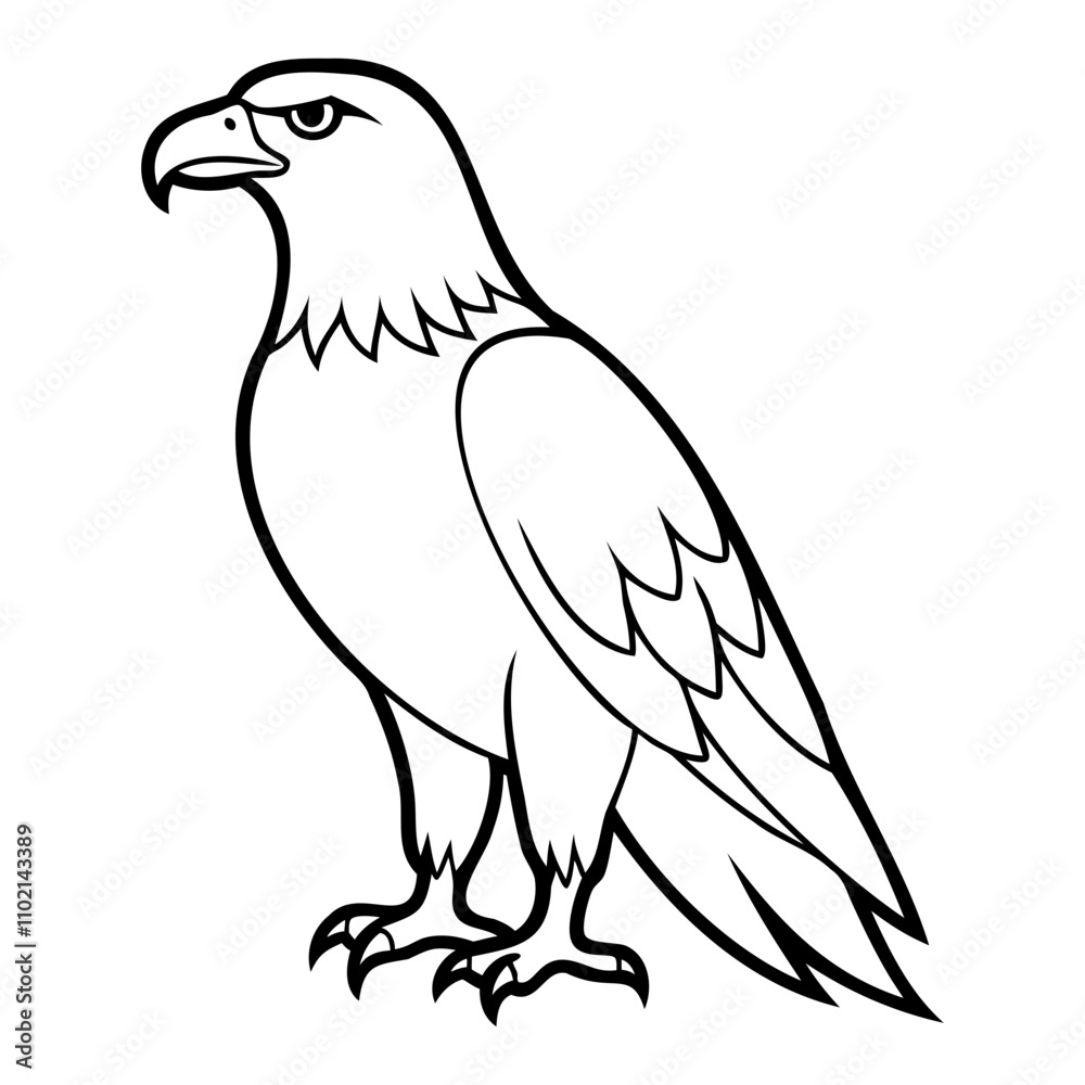 Eagle Bird Vector outline or Line art Black Silhouette isolated on transparent background Eagle Bird Vector outline or Line art Black Silhouette isolated on transparent background