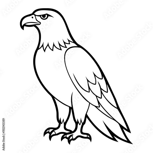 Eagle Bird Vector outline or Line art Black Silhouette isolated on transparent background