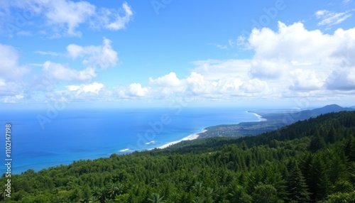 Panoramic view of coastal forest, ocean, and sky with fluffy clouds.