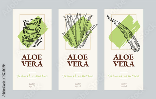 Aloe vera flyers template set. Natural cosmetics ingredient. Hand drawn ink sketch plants. Ecology concept in beauty industry. Vector illustration.