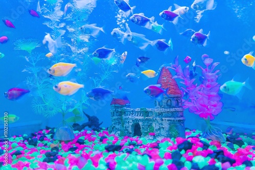 Aquarium in a pet store with colorful fish