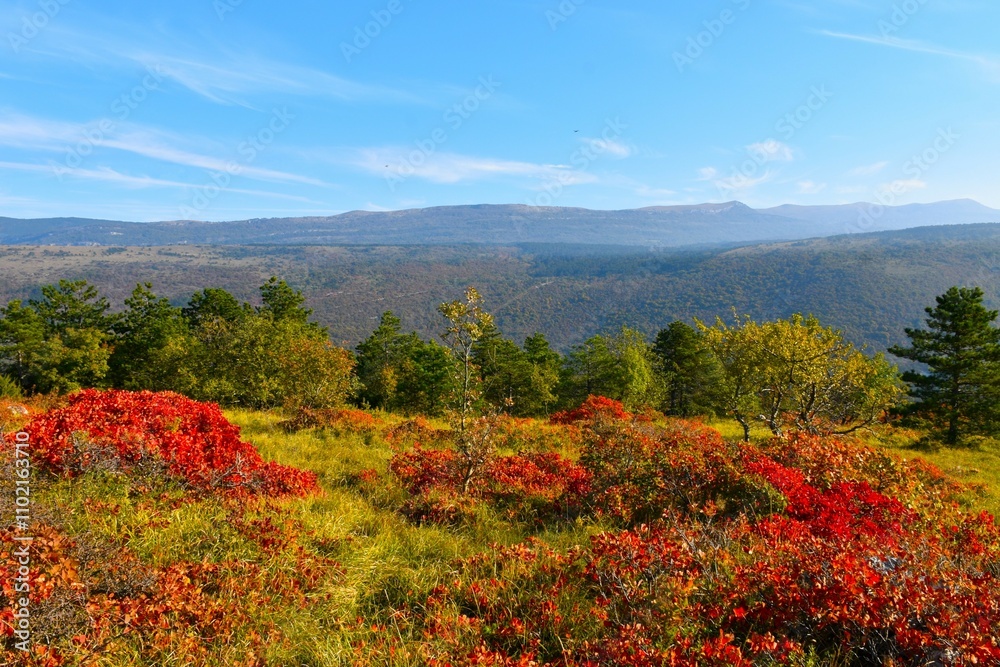 Colorful autumn landscape with mountains above Čičarija karst plateau and red colored smoke tree (Cotinus coggygria) in Istria, Primorska, Slovenia Colorful autumn landscape with mountains above Čičarija karst plateau and red colored smoke tree (Cotinus coggygria) in Istria, Primorska, Slovenia