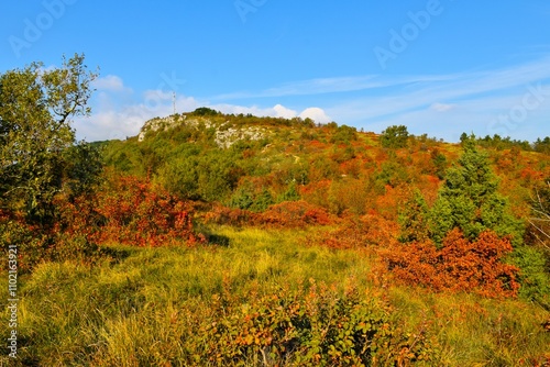 Karst landscape at Kraški rob with mediterranean vegetation and red colored smoke tree (Cotinus coggygria) bushes in Istria, Primorska, Slovenia