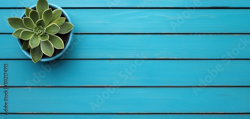 design style eclectic layout concept. A succulent plant in a blue pot sits on a vibrant turquoise wooden surface, creating a fresh and modern aesthetic.