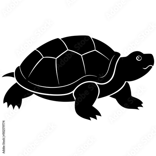 turtle, tortoise, animal, reptile, shell, isolated, nature, slow, pet, wildlife, white, wild, cute, walking, pets, amphibian, aquatic, brown