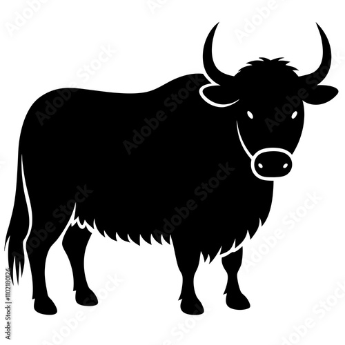 black and white cow