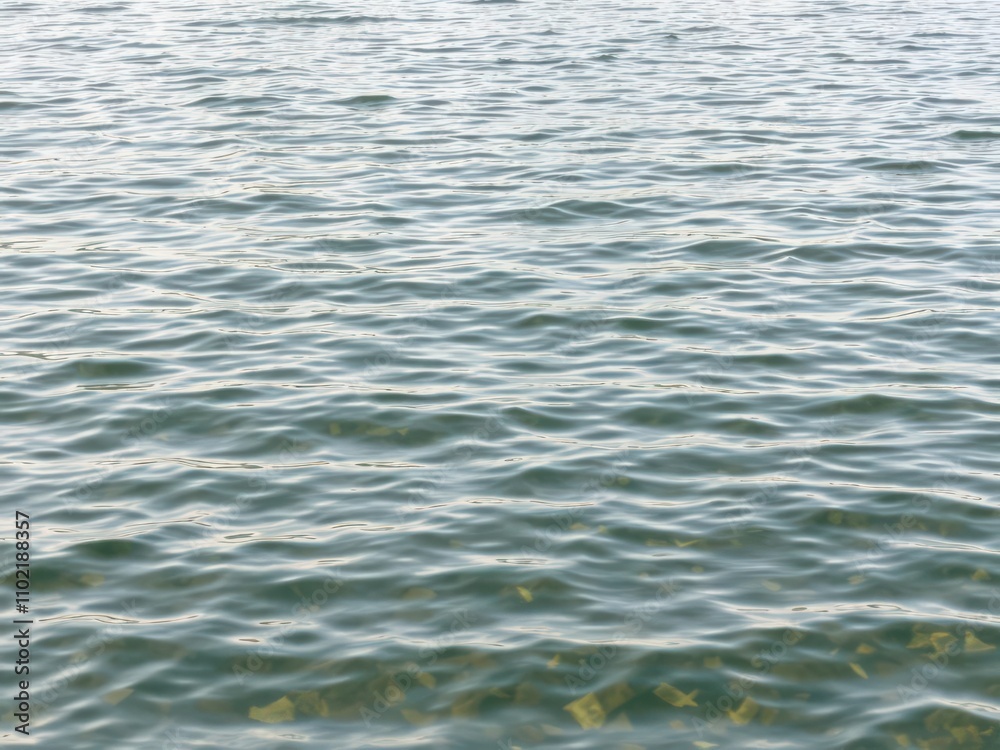 Image of water surface with gentle ripples, creating a calming and natural texture, serene, aquatic Image of water surface with gentle ripples, creating a calming and natural texture, serene, aquatic