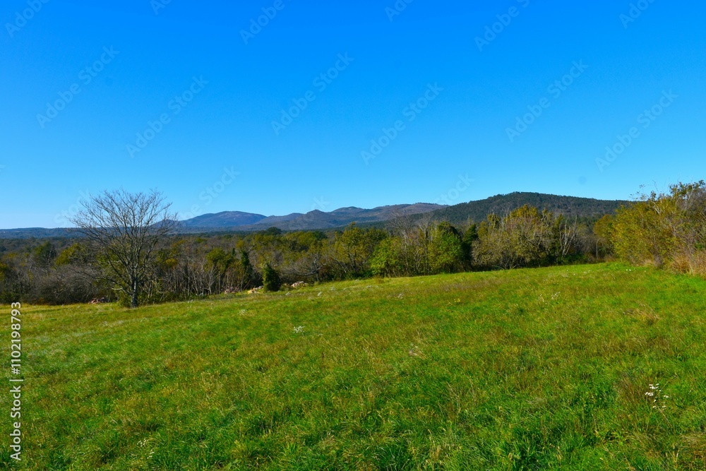 Green meadow with forest covered hills behind at Kras plateau in Primorska, Slovenia Green meadow with forest covered hills behind at Kras plateau in Primorska, Slovenia