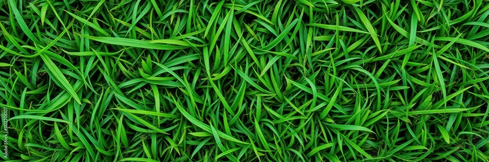 Dense green grass texture with vibrant color variations and intricate natural patterns, vibrant, green Dense green grass texture with vibrant color variations and intricate natural patterns, vibrant, green