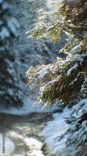 Falling Snow Sparkles from Evergreen Branches in Sunlight