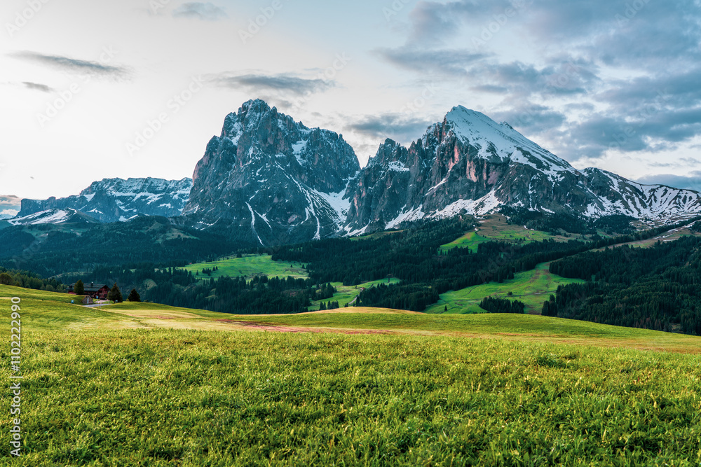 Panoramic view of the Langkofel Group from Seiser Alm in the Dolomites in South Tyrol, Italy. Panoramic view of the Langkofel Group from Seiser Alm in the Dolomites in South Tyrol, Italy.