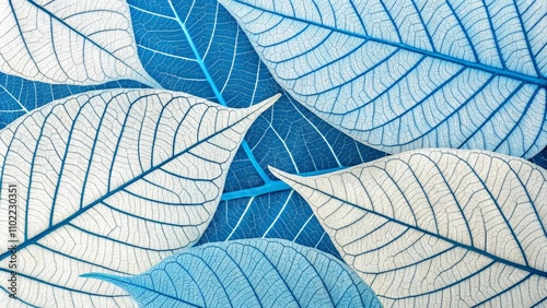 Abstract Blue and White Leaf Veins, Nature, Macro Photography, Texture, Pattern, Design, Botany