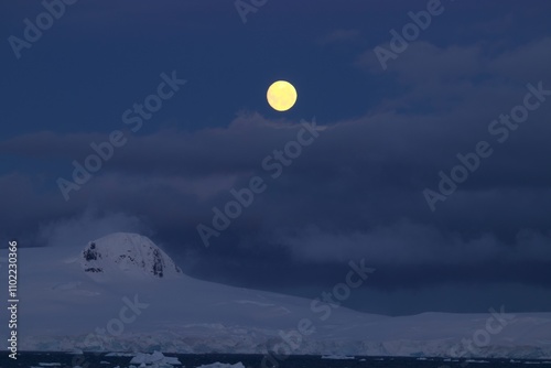 A remote, untouched corner of Antarctica, where the land is a canvas of snow and ice. The stillness of the icy landscape is broken only by the occasional silhouette of a distant iceberg.