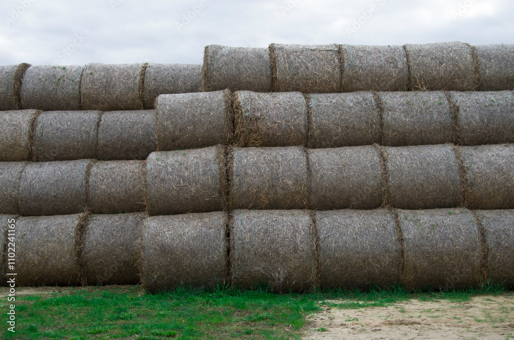 Stacked hay bales.Dry straw pressed into individual straw bales. Pile of straw bales. Stacked hay bales.Dry straw pressed into individual straw bales. Pile of straw bales.