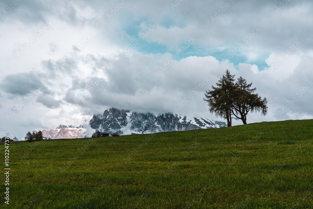 Panoramic view from the Seiser Alm to the Dolomites in South Tyrol, Italy. Panoramic view from the Seiser Alm to the Dolomites in South Tyrol, Italy.