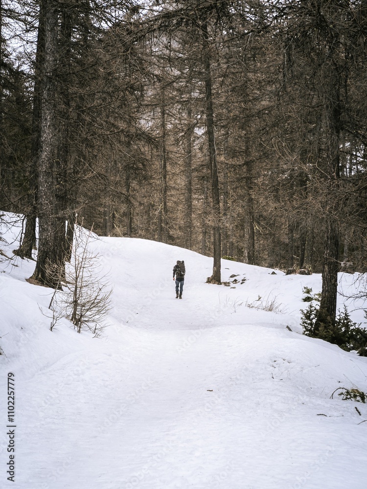 Hiker Walking Through Snowy Forest Path Hiker Walking Through Snowy Forest Path