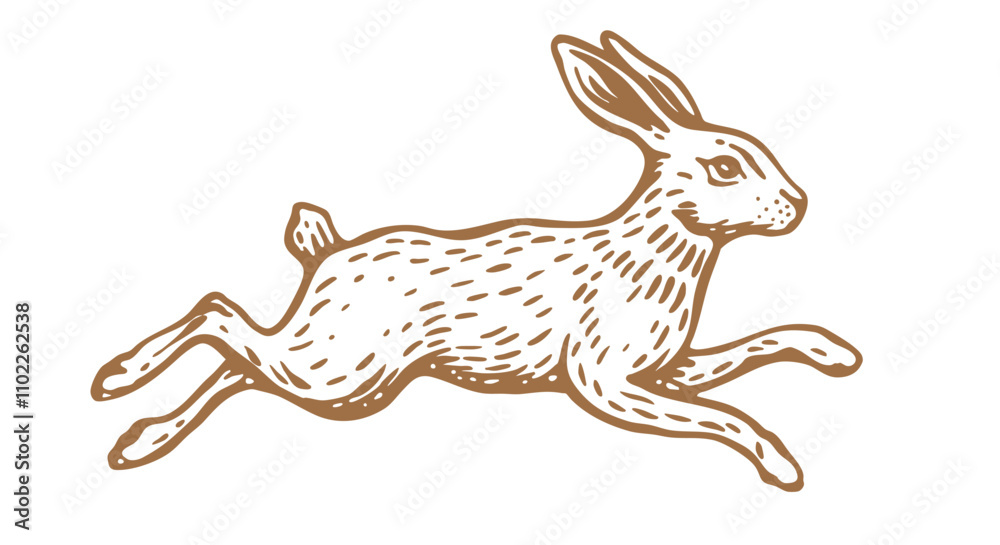 Hare, rabbit sketch. Vintage retro print, black white wild hare, rabbit drawing, sketch ink pencil draw, engrave old school style. Sketch artwork silhouette wild hare rabbit. Vector Illustration