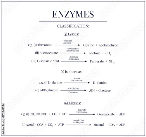 Enzymes and its classification