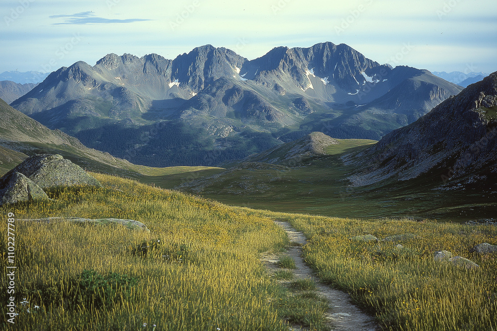 Fototapeta premium Grüne Berglandschaft mit Wanderweg im Morgenlicht