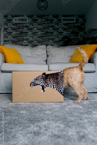 Playful dog and creative cardboard box bring humor to living room