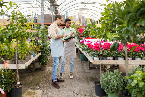 Two Gardeners Discussing Plant Varieties in a Greenhouse photo