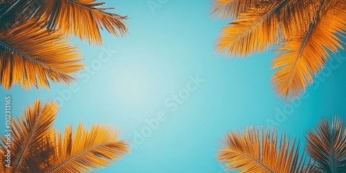 Brightly lit tropical palm trees against a clear blue sky detailed leaves daytime natural light minimalistic and vibrant tropical design