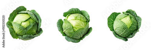 Set of perfectly round cabbage isolated on a transparent background