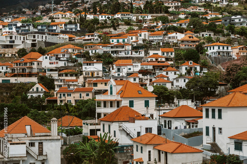 Aerial view over houses in Funchal