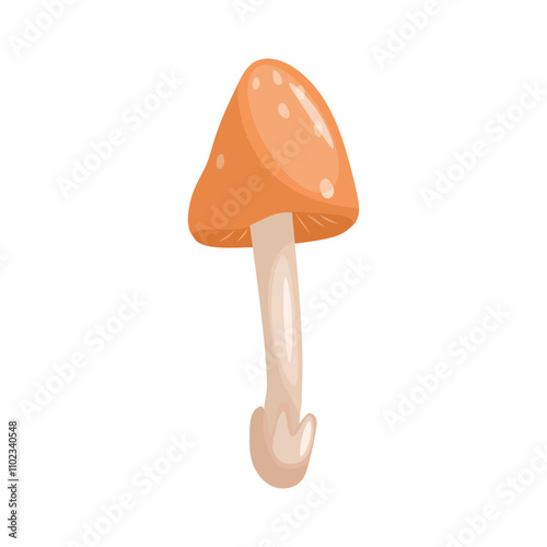 Amanita mushroom Vector illustration on a white background