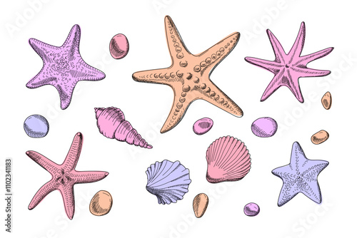 Set with seashells, starfish and pebbles. Sketch style. Set of sea objects. Hand drawn illustrations. Vector isolated on white background.