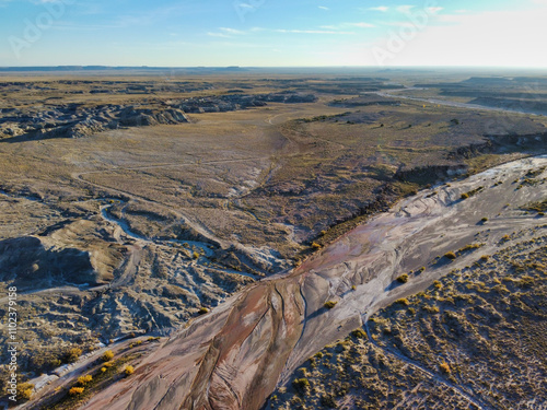 High Desert Petrified Forest Wash Arizona