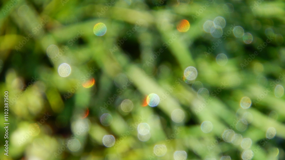 Obraz premium Abstract green blurred background of grass with oval sparkling dots of water drops. Topics: abstraction, wallpaper, pattern, effect, flora, natural environment, ecology