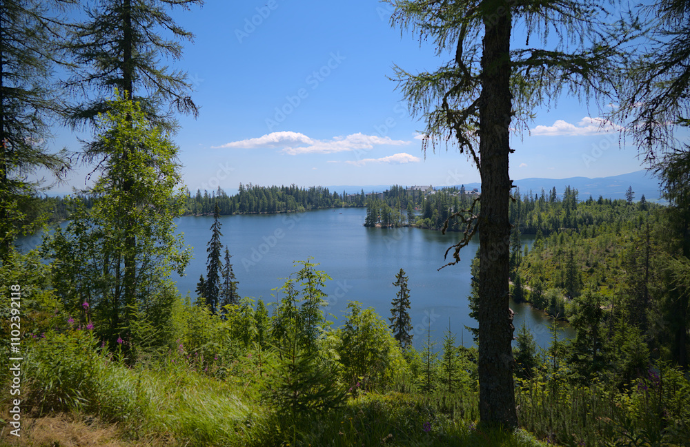 Elevated view of a calm mountain lake surrounded by trees and lush greenery under a clear sky. Elevated view of a calm mountain lake surrounded by trees and lush greenery under a clear sky.